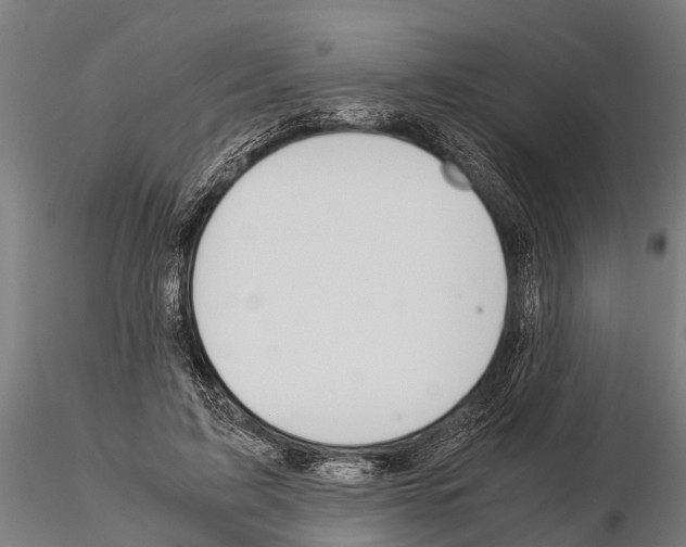 X0000115210595200912091159