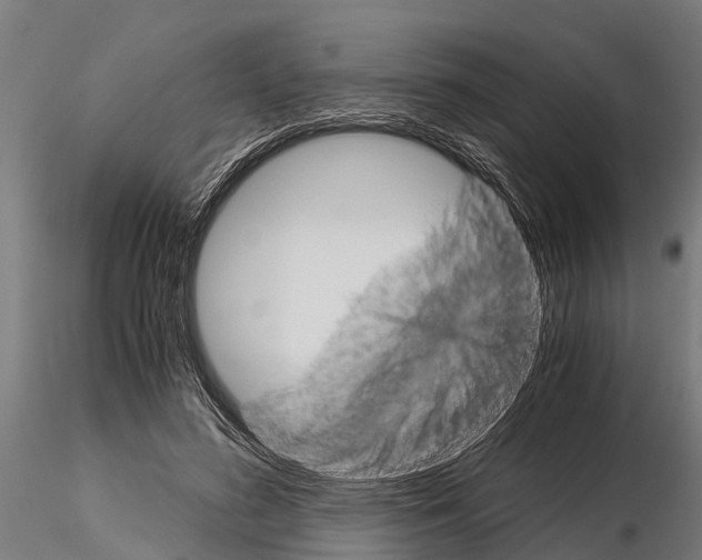 X0000115210596200912091159