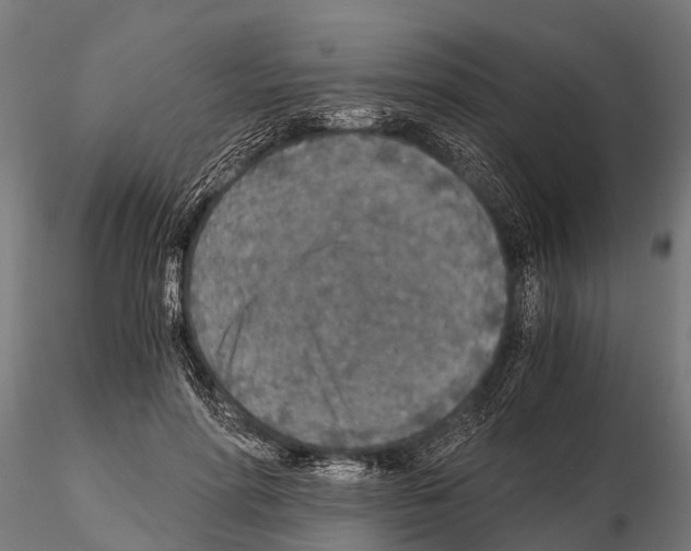 X0000115210598200912091159