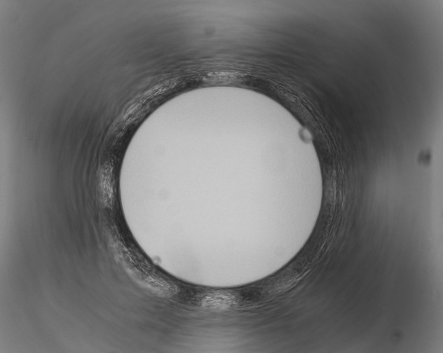 X0000115210599200912091159