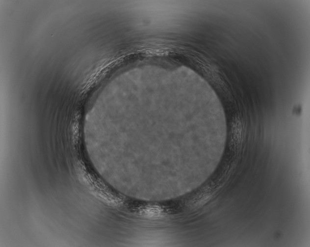 X0000115210600200912091159