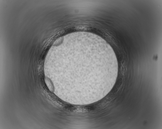 X0000115210601200912091159