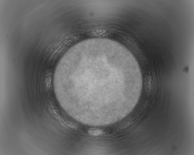 X0000115210602200912091159