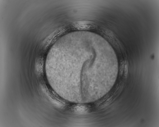 X0000115210604200912091159