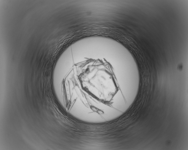 X0000115210605200912091159