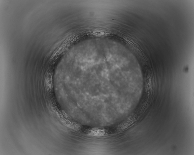 X0000115210606200912091159