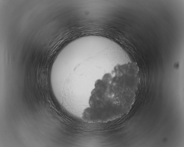 X0000115210608200912091159