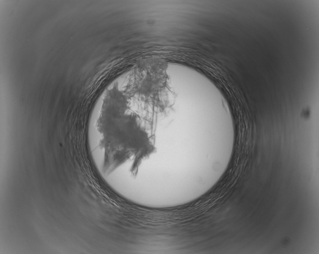 X0000115210609200912091159