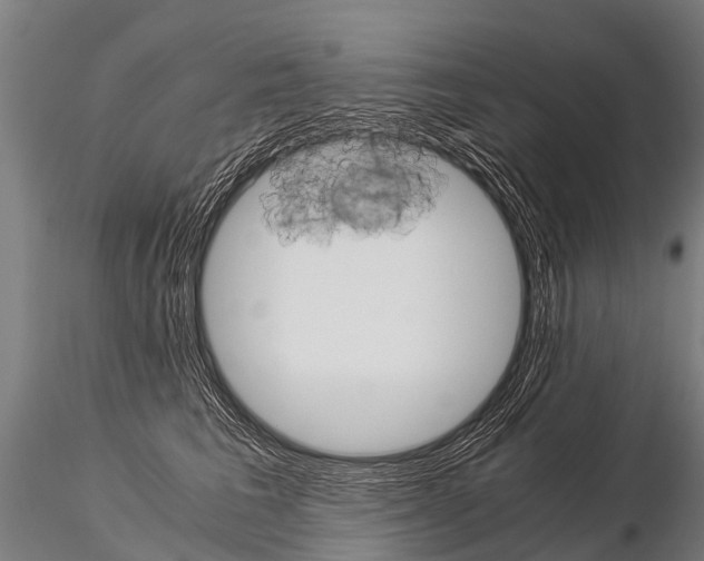 X0000115210613200912091159