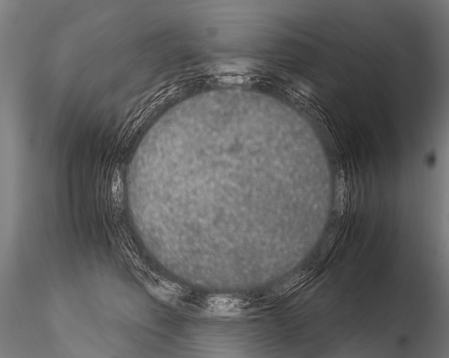 X0000115210614200912091159