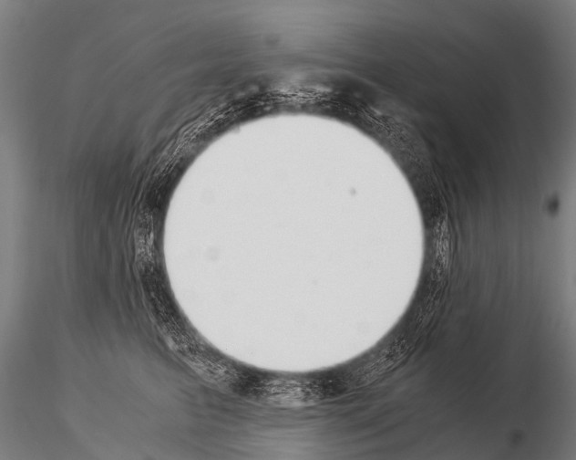 X0000115210615200912091159