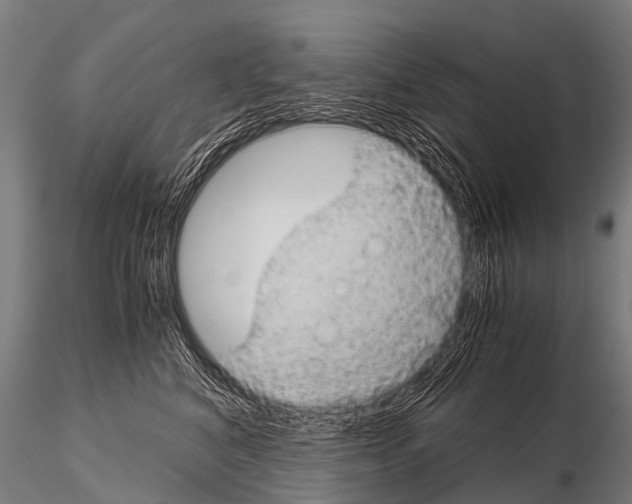 X0000115210616200912091159