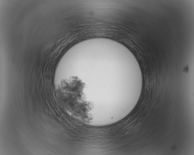 X0000115210617200912091159