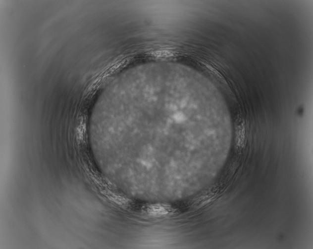 X0000115210618200912091159