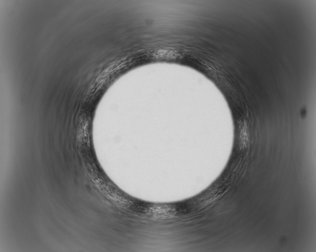 X0000115210619200912091159