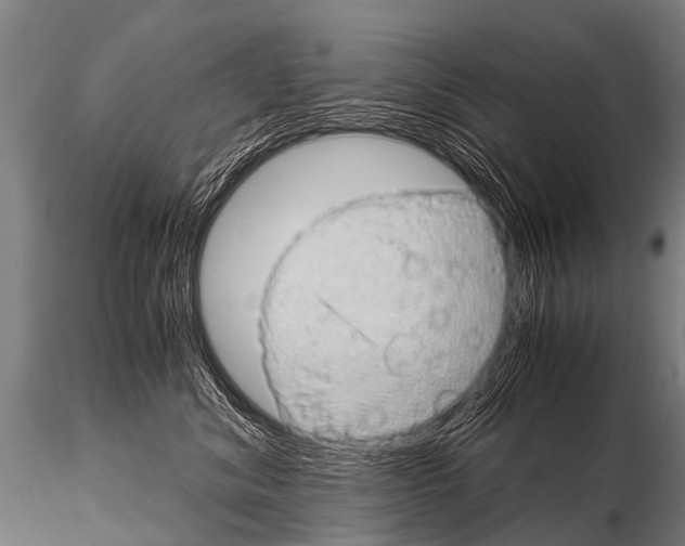 X0000115210620200912091159