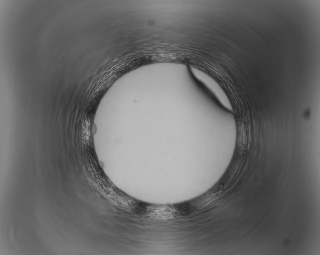 X0000115210621200912091159