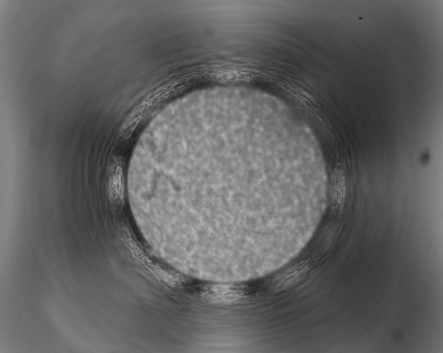 X0000115210622200912091159