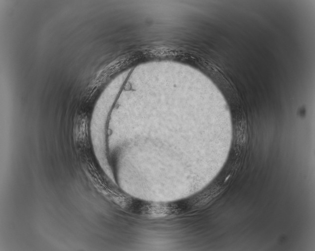 X0000115210623200912091159