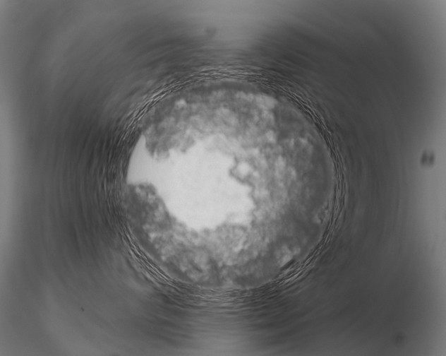 X0000115210624200912091159