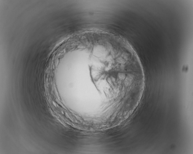 X0000115210625200912091158