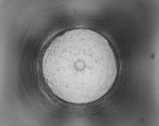 X0000115210626200912091158