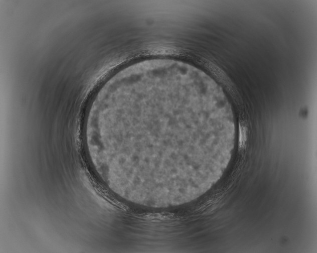 X0000115210627200912091158