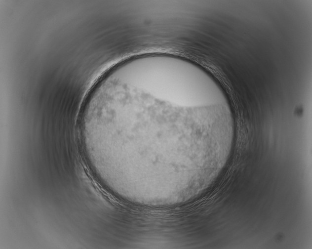 X0000115210628200912091158