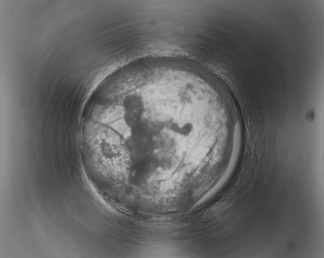 X0000115210630200912091158