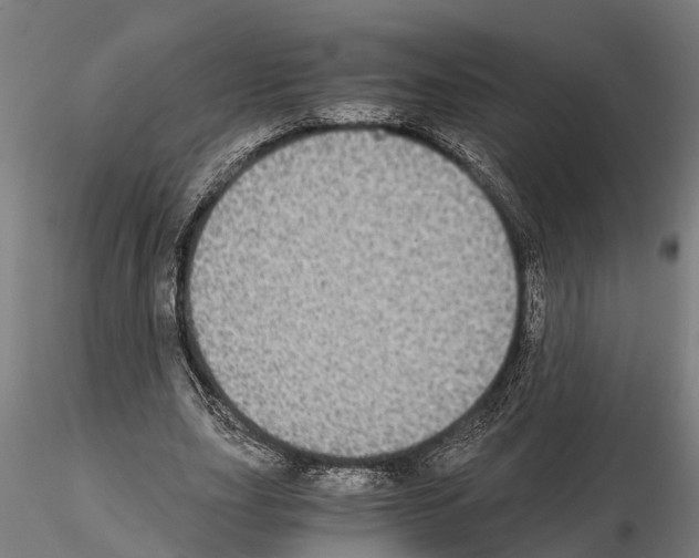 X0000115210631200912091158