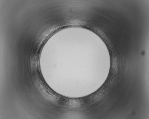 X0000115210632200912091158