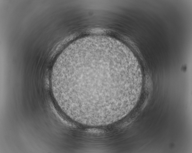 X0000115210633200912091158