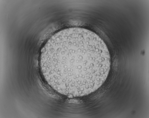 X0000115210635200912091158