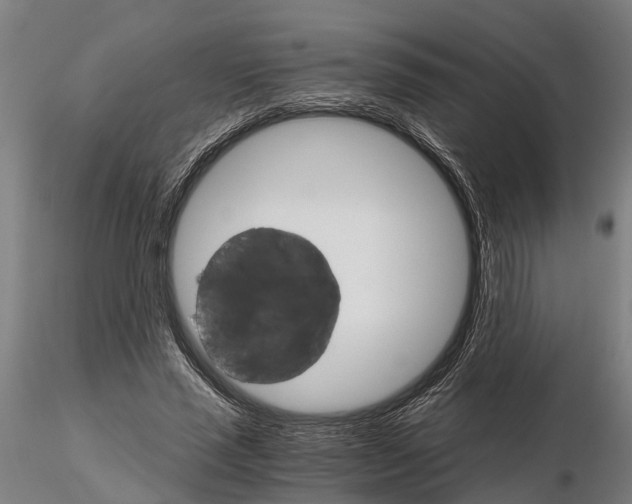 X0000115210637200912091158