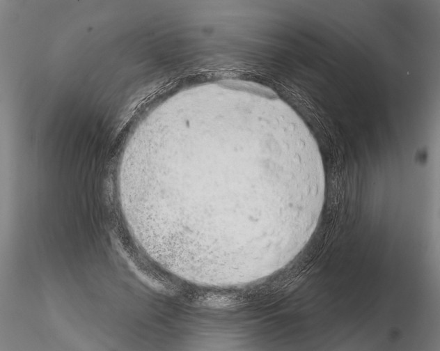 X0000115210638200912091158