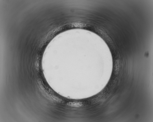 X0000115210639200912091158