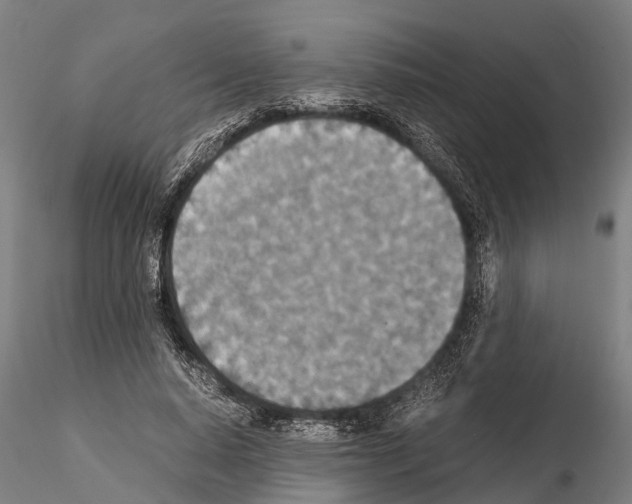 X0000115210640200912091158