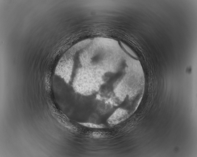 X0000115210641200912091158