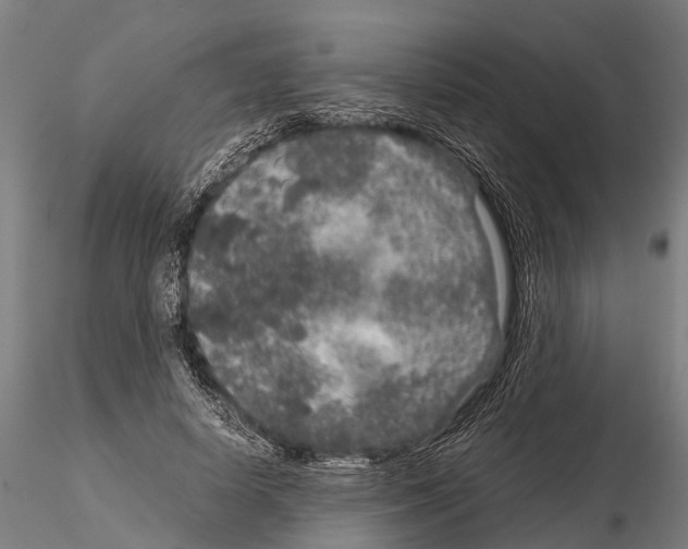 X0000115210642200912091158