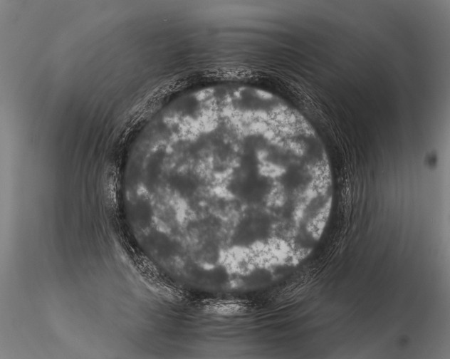 X0000115210643200912091158