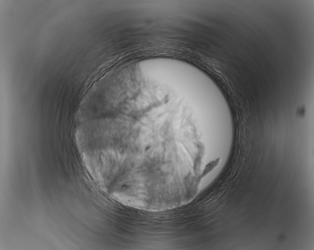 X0000115210645200912091159