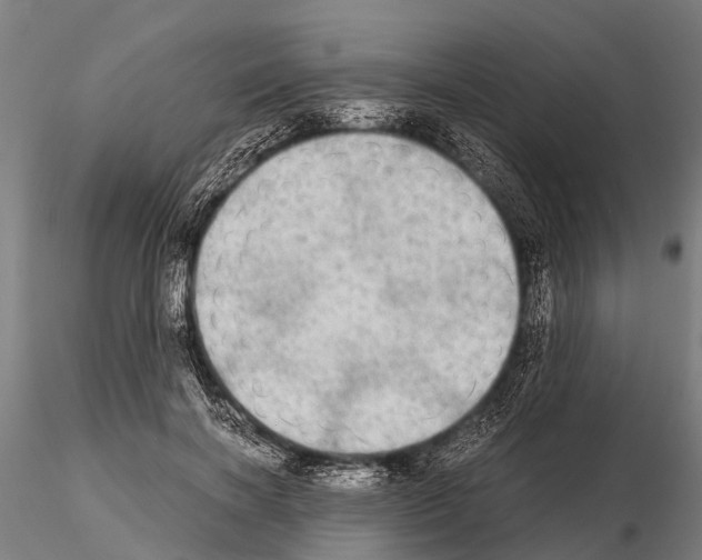 X0000115210646200912091159