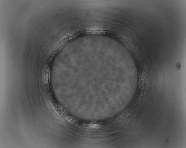 X0000115210647200912091159