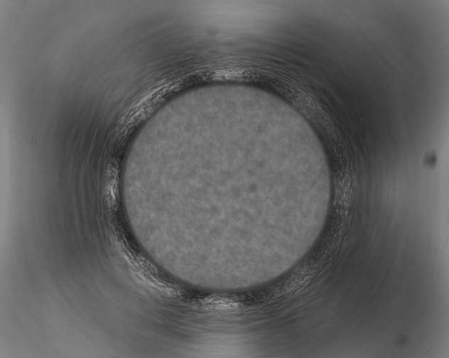 X0000115210648200912091159