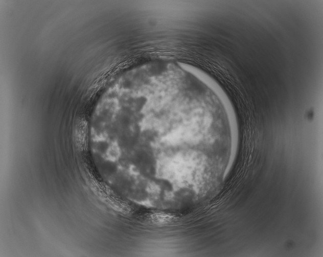 X0000115210650200912091159