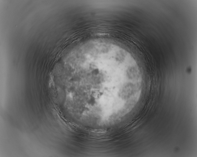 X0000115210651200912091159