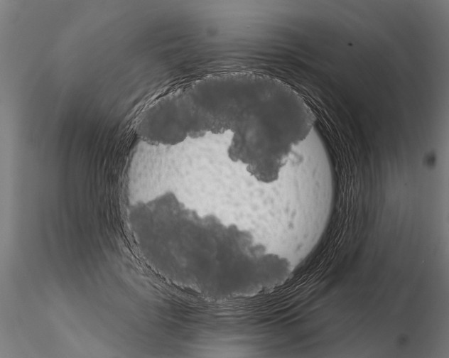 X0000115210652200912091159