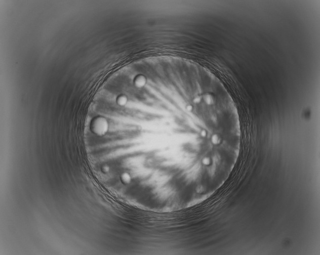 X0000115210653200912091159