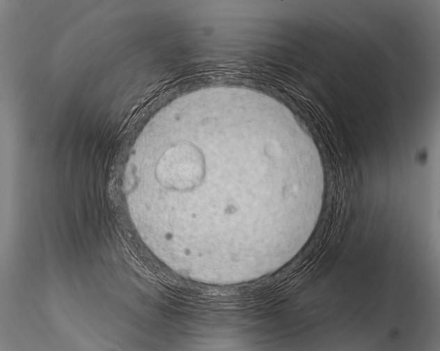 X0000115210654200912091159