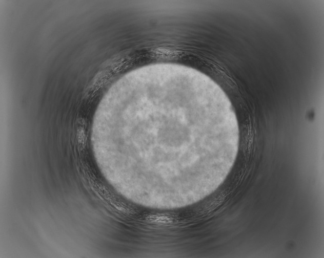 X0000115210655200912091159